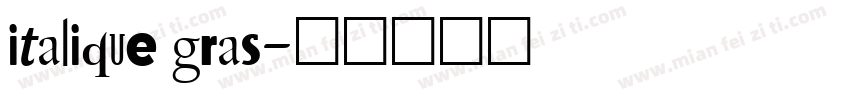 italique gras字体转换